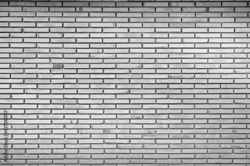 Black and white tone image. Brick wall for background.