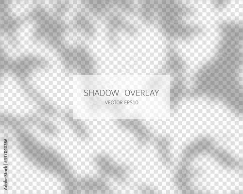 Shadow overlay effect. Natural shadows isolated on transparent background. Vector illustration. 