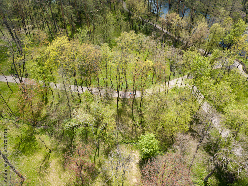 Walking paths in the park in spring. Aerial drone view. Walking paths in the park in spring. Aerial drone view.