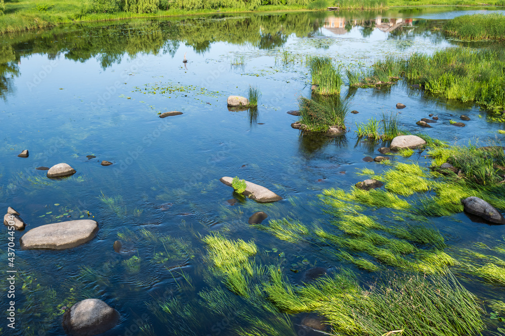 Small picturesque rushy pond on river. Sunny, summer day on Ros river, Boguslav, Ukraine. Small picturesque rushy pond on river. Sunny, summer day on Ros river, Boguslav, Ukraine.