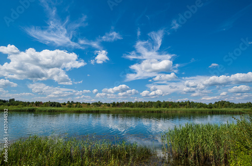 Fototapeta Naklejka Na Ścianę i Meble -  Small picturesque rushy lake. Sunny, summer day.