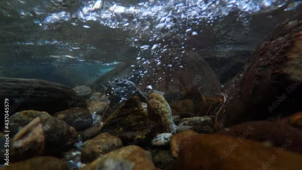 Slow motion underwater shot ofwith a rock falling in water in the crystal clear glacier water of the river stream at Soyal Village in Manali, Himachal Pradesh, India Slow motion underwater shot ofwith a rock falling in water in the crystal clear glacier water of the river stream at Soyal Village in Manali, Himachal Pradesh, India