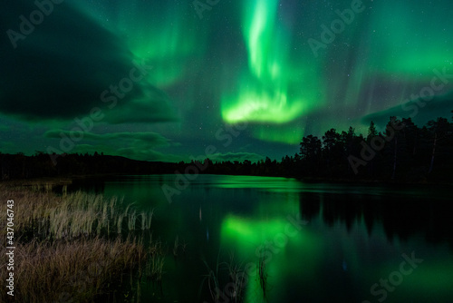 Northern lights  Tornetr  sk  Abisko  Sweden