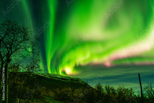 Canvas-taulu Northern lights, Torneträsk, Abisko, Sweden
