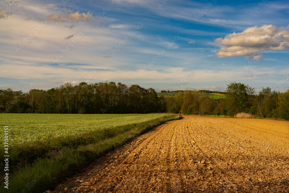 Fotografie Paysage campagne 889