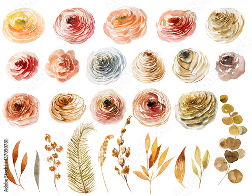 Set of watercolor roses, leaves and branches, hand painted isolated illustrations on a white background