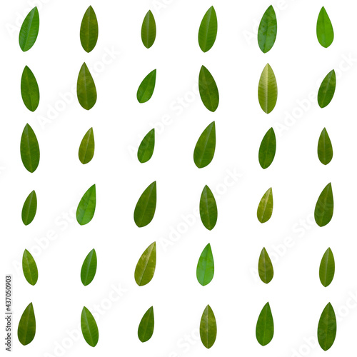 並んだ緑色の葉っぱのシームレス背景素材
