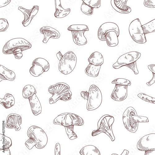 Seamless pattern with different outlined mushroom species on white background. Endless repeatable engraving texture with fungi in vintage style. Hand-drawn graphic vector illustration for printing
