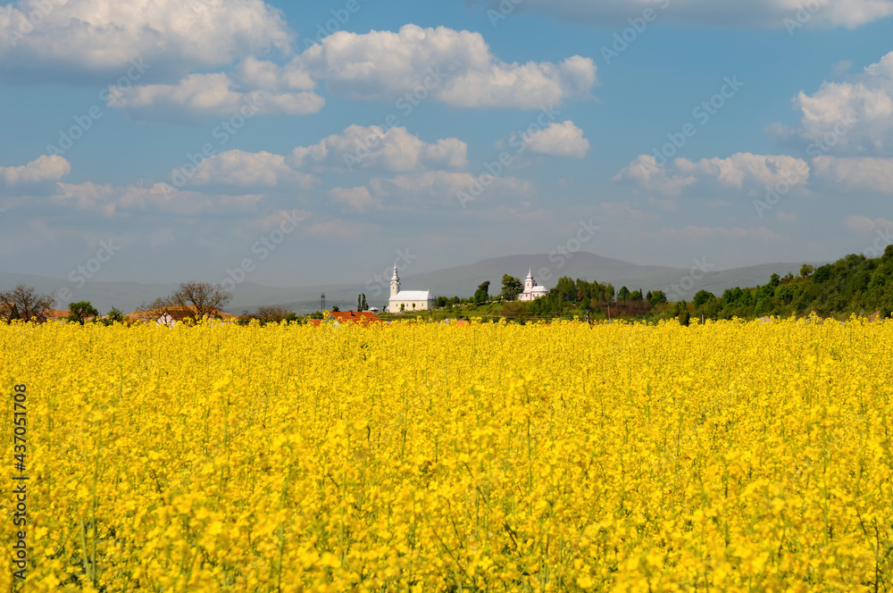 Blooming canola field on foreground and two churches and mountain hills on background