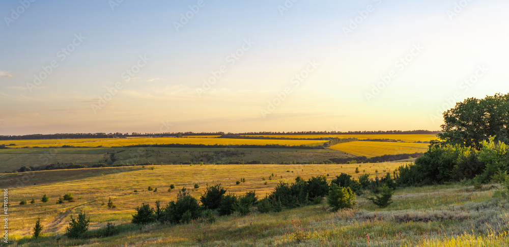 Fototapeta premium A beautiful summer landscape with hills and endless sunflower fields in the distance. Meadow with wildflowers and trees against the backdrop of the setting sun in a sultry summer. Panoramic view, bann