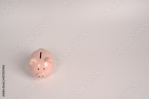 Piggy bank in the form of a small pink pig on a white background. Space for text
