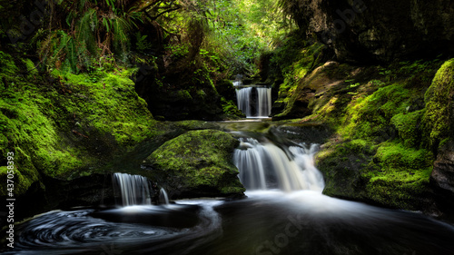Payzant Creek  Vancouver Island, BC Canada