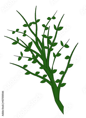 Green Plant with Leaves