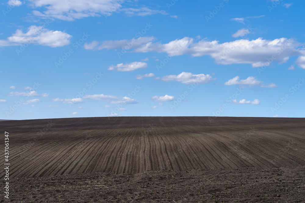 Field ploughed in spring. Podilski Tovtry nature reserve in Podolia region, South-Western Ukraine Field ploughed in spring. Podilski Tovtry nature reserve in Podolia region, South-Western Ukraine