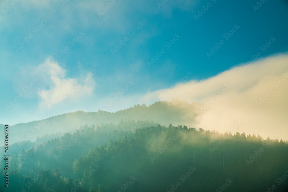 Germany, Foggy mystical forest panorama of endless tree covered mountains in misty morning atmosphere with sunlight