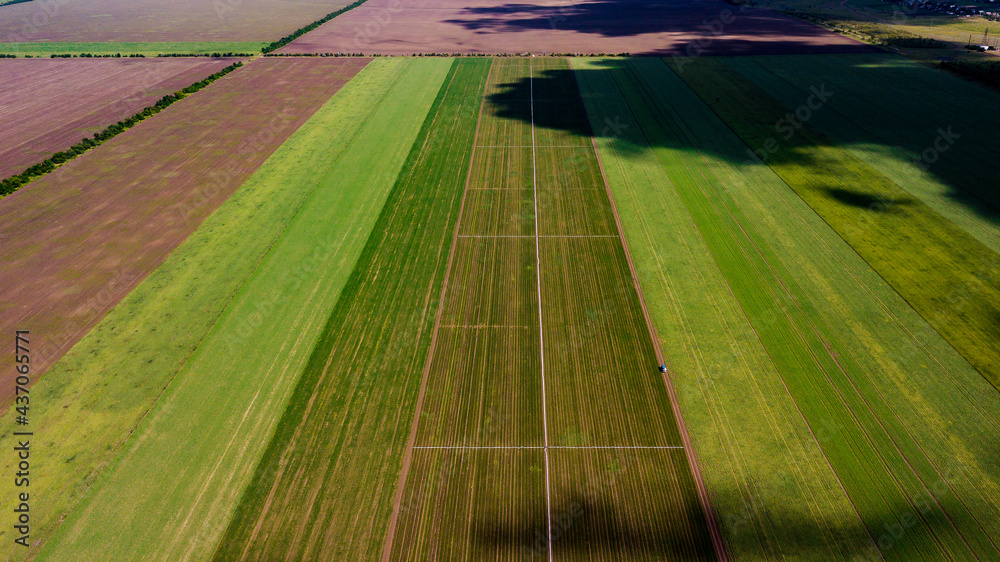 Obraz premium fields