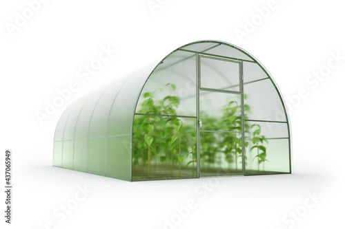 Bilde på lerret Farm greenhouse for growing plants, fruits, berries, vegetables, flowers
