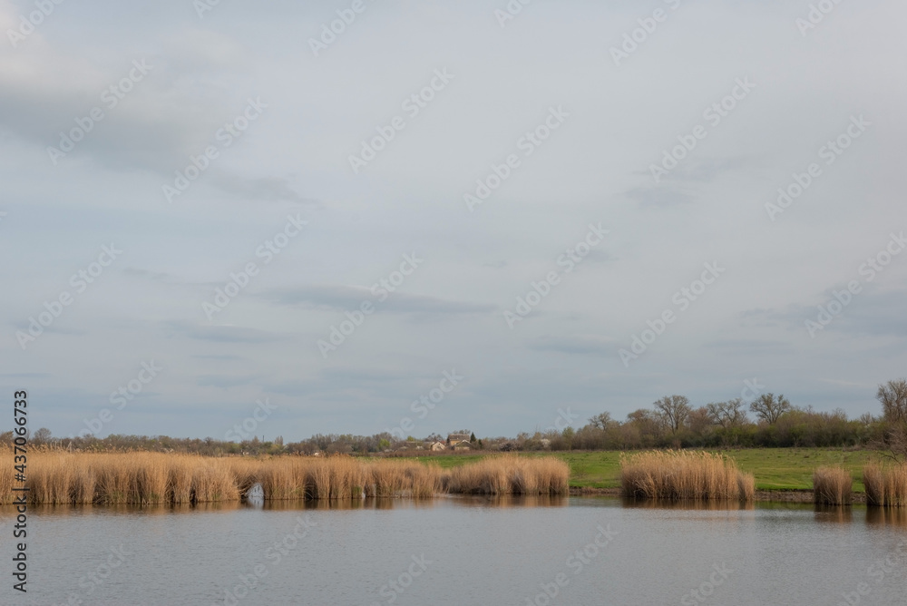 village landscape of the river with reeds. against a cloudy sky