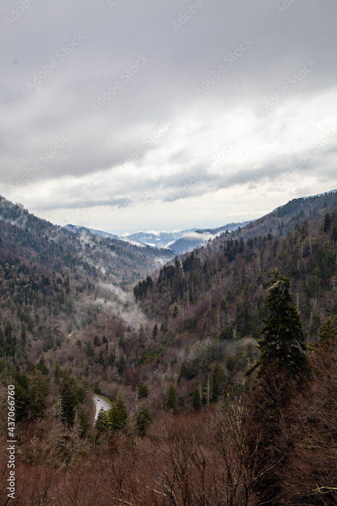 Great Smoky Mountains National Park on a cloudy day in the early spring