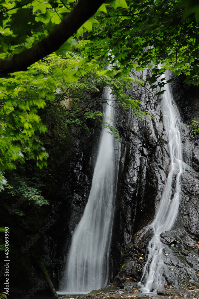 waterfall in the forest