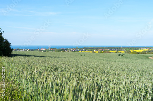 beautiful vast landscape, green fields and blue sky on a sunny summer day in Mecklenburg Western Pomerania photo