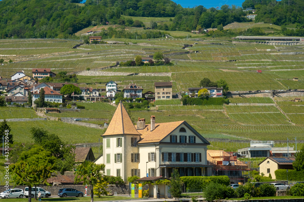 Vineyards and house in Lavaux on the banks of the Geneva lake, Switzerland