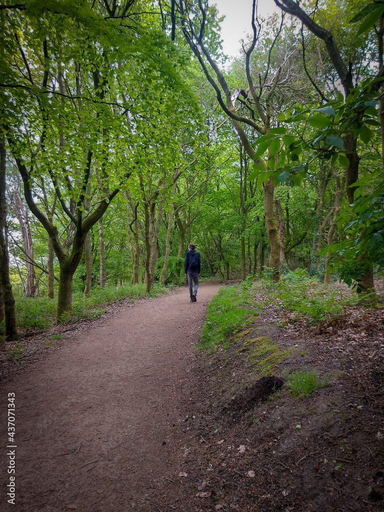 Walking in the Woods 