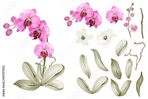 Orchid pink watercolor isolated element clip art