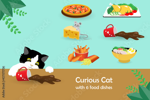 Curious tuxedo cat stealing foods on table with 6 food dishes collection. Idea for funny bad cat behavior, instinct and for veterinary clinic .
