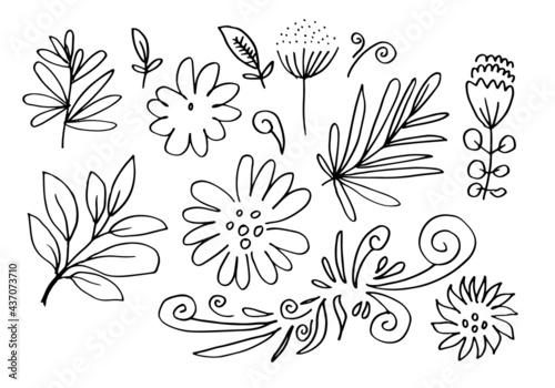 a collection of hand-drawn flower images such as bellflower, chrysanthemums, sunflowers, cotton flowers, and tropical leaves