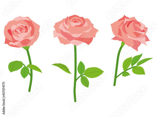 アプリコット色の薔薇の花