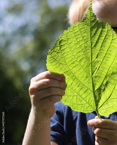 Foto Enfant trouve une feuille géante à l'extérieur, rayon de soleil d'été