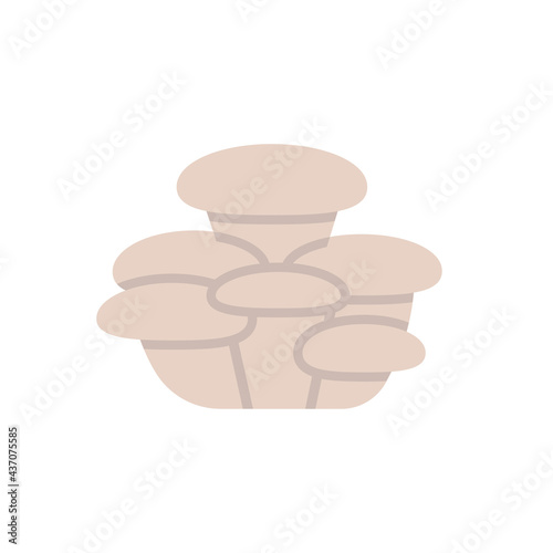 Oyster mushroom icon. Vector isolated flat color icon. Modern glyph sticker design. Illustrations of mushrooms. Food ingredients.