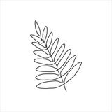 one line drawing of palm leaves. continuous line art