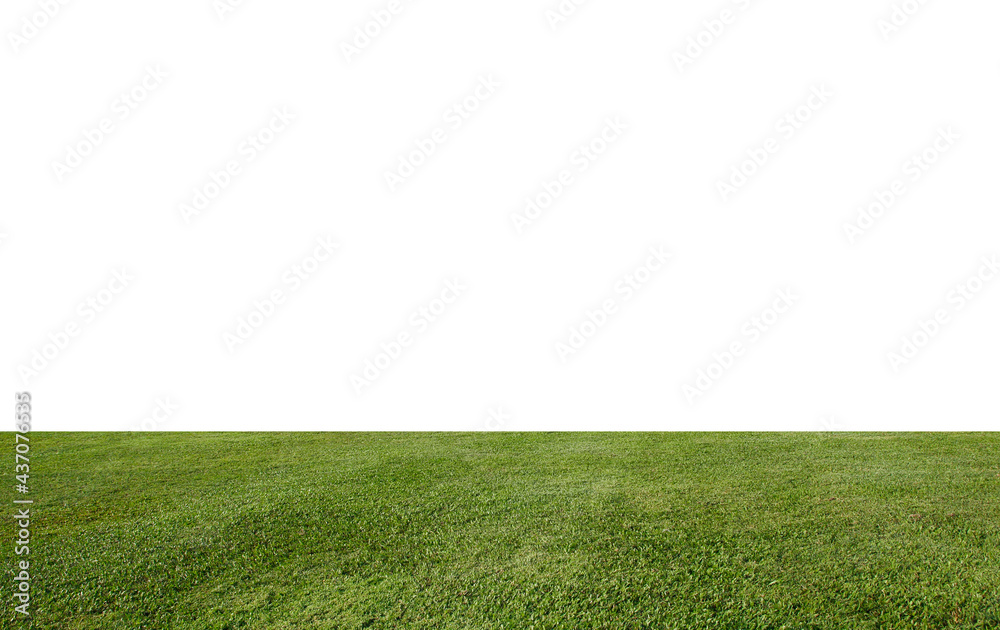 green field with grass on white background.