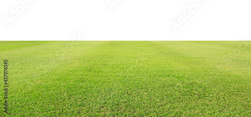 green field with grass on white background.