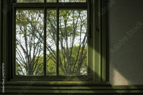 Fototapeta Naklejka Na Ścianę i Meble -  緑の窓