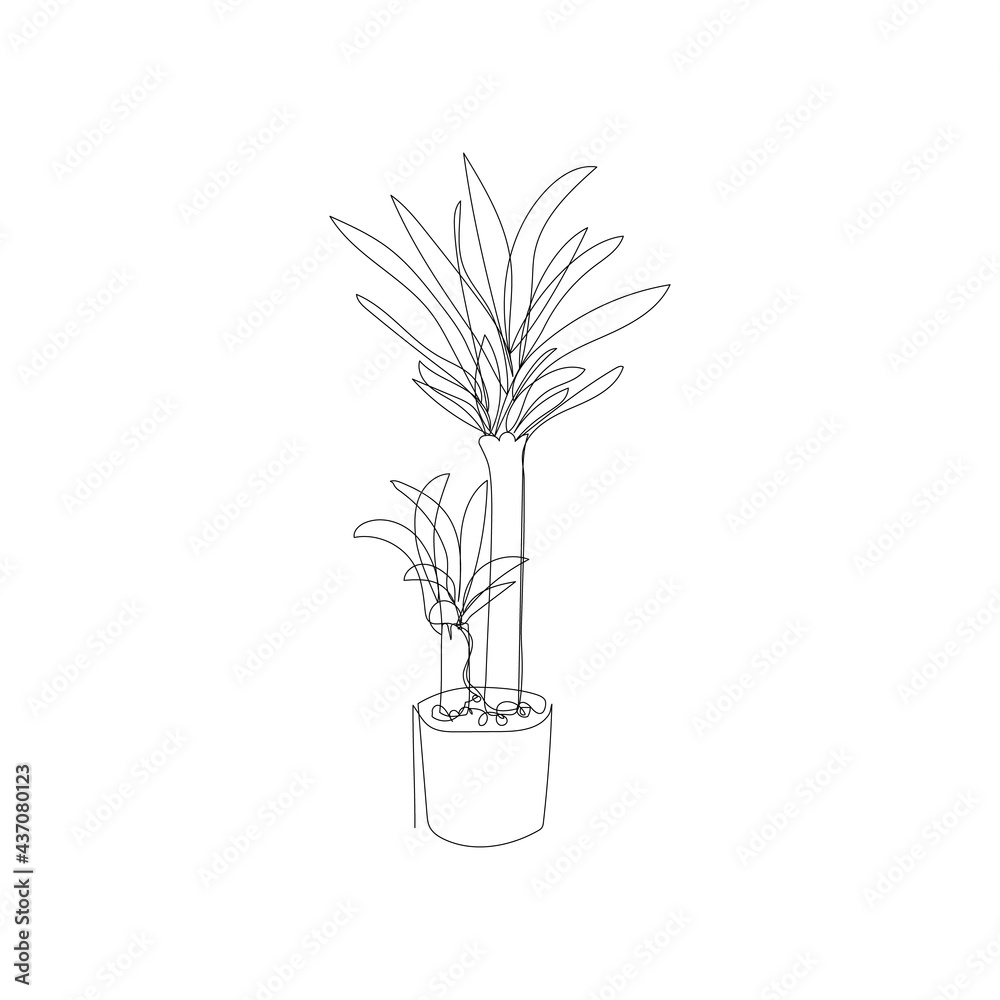 Yucca plant in continuous line drawing. Modern line art. Vector