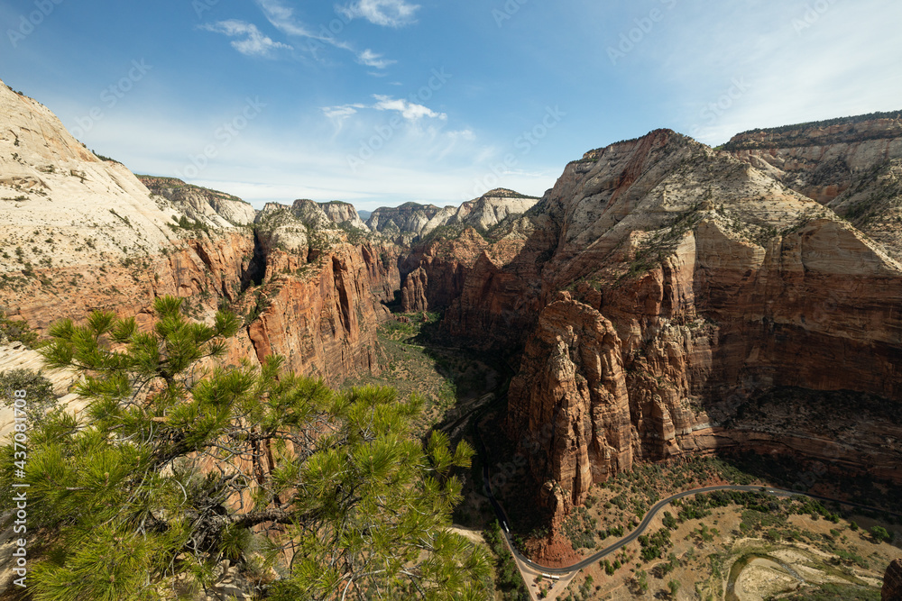Southwestern mountains in the desert with green trees in the canyon. The view of Zion Canyon in Zion National Park Utah from Angel's Landing.