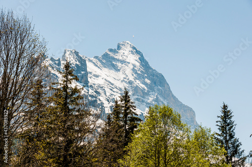 Grindelwald, Eiger, Eigernordwand, Alpen, Berner Oberland,  Wanderweg, Kleine Scheidegg, Männlichen, Lauberhorn, Bergdorf, Frühling, Sommer, Schweiz photo