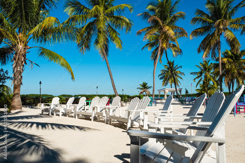Beautiful Florida Keys along the shoreline with palm trees and beach chairs