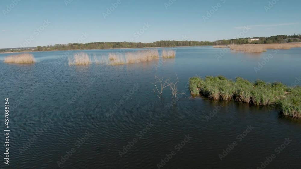Fast and maneuverable flight over the lake with reeds. Filmed on FPV drone Fast and maneuverable flight over the lake with reeds. Filmed on FPV drone