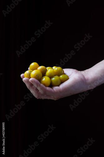hands holding fruits