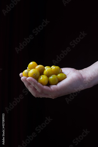 hands holding fruits