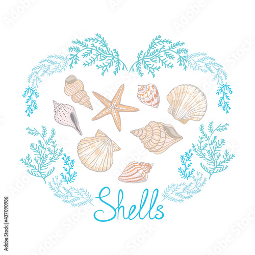 Shell yeah vector illustration with seashell and lettering.