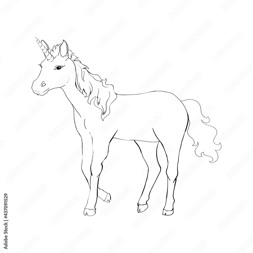 Unicorn, hand drawn vector linen illustration for logotype, coloring book