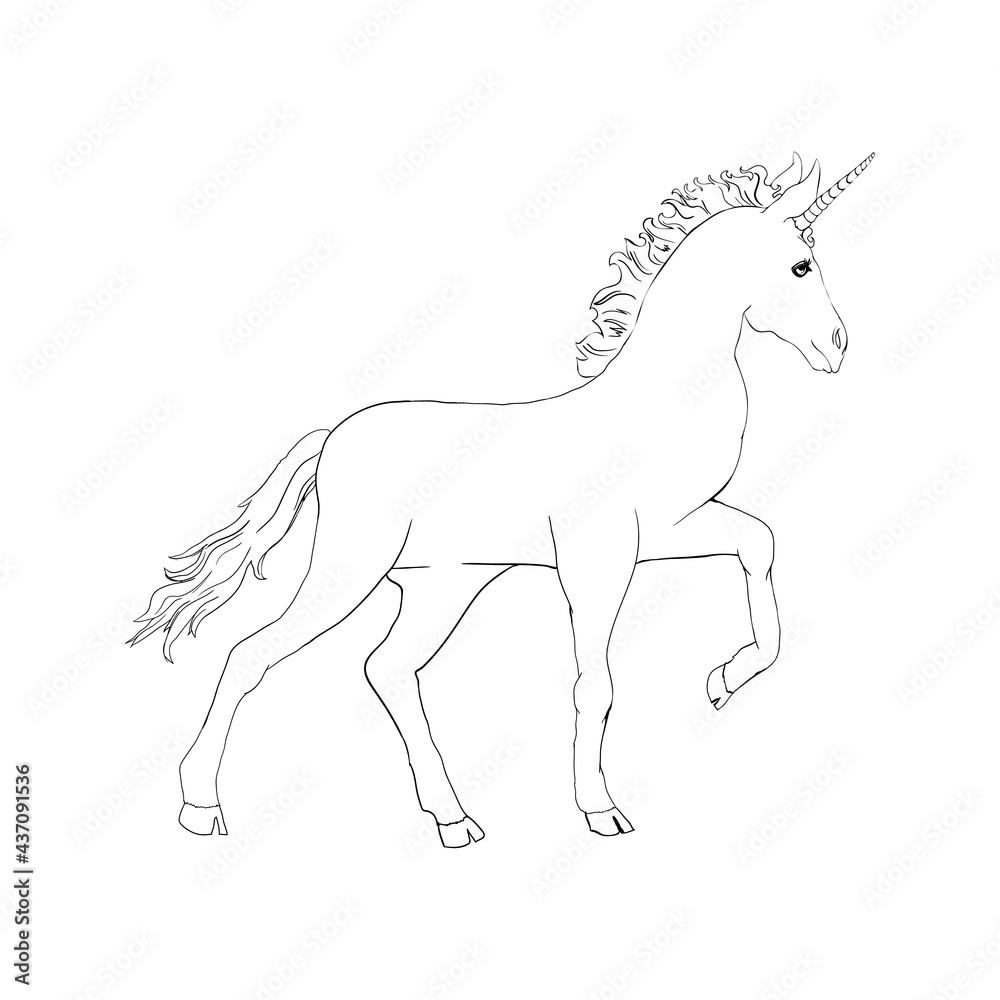 Unicorn, hand drawn vector linen illustration for logotype, coloring book