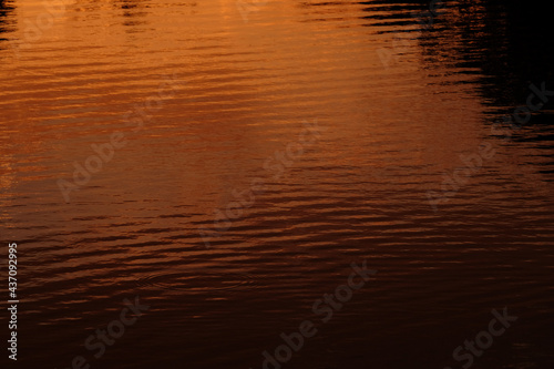 Peaceful and calm sunset reflection on water in summer dusk.