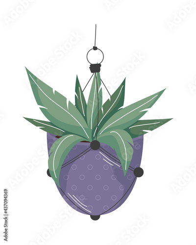 purple macrame hanger