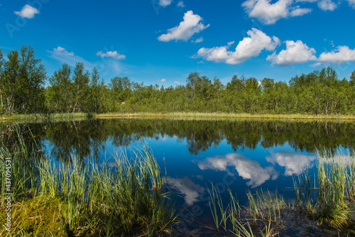 Blue sky with clouds reflected in the forest lake